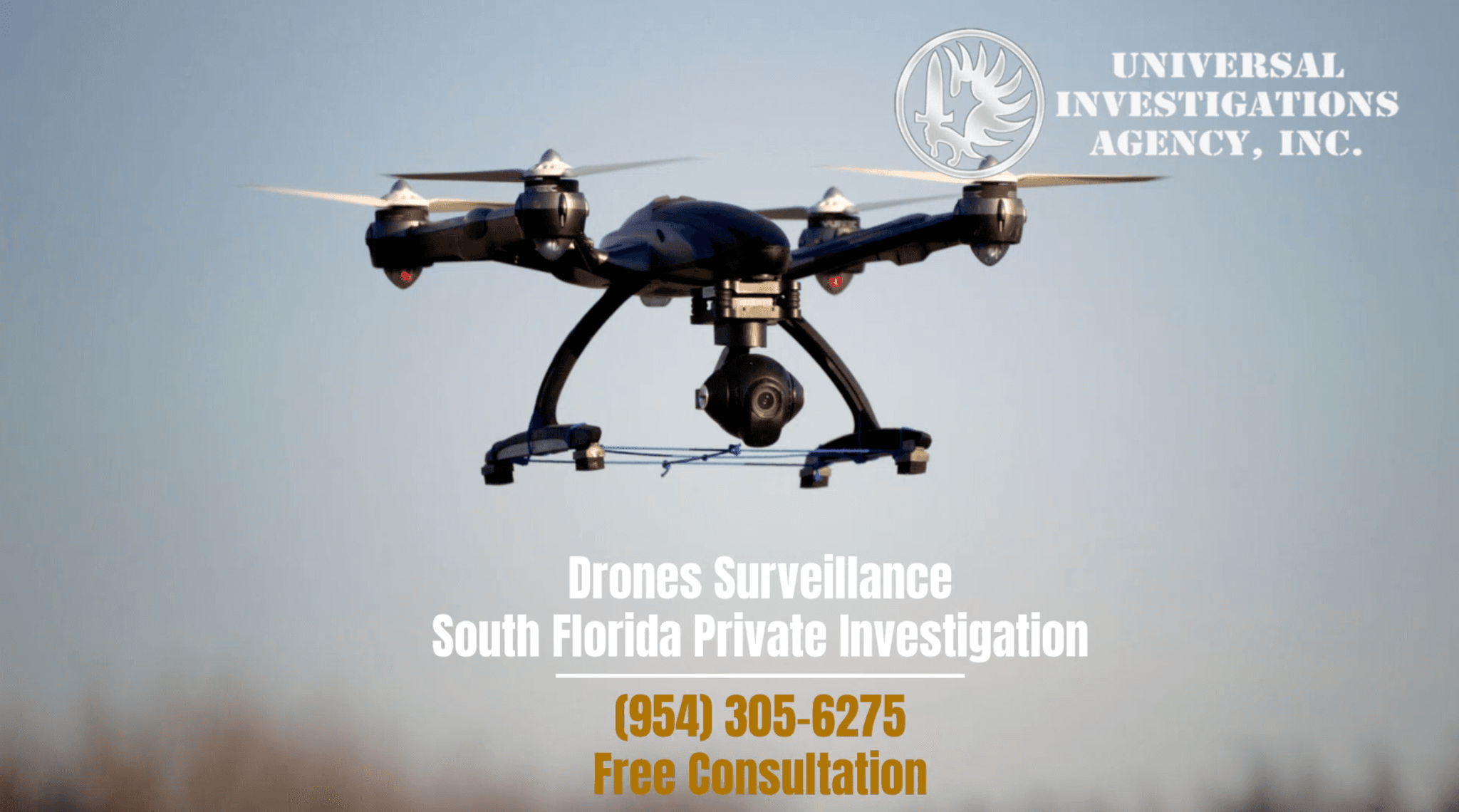 THE ROLE OF THE PRIVATE INVESTIGATOR IN THE 21ST CENTURY